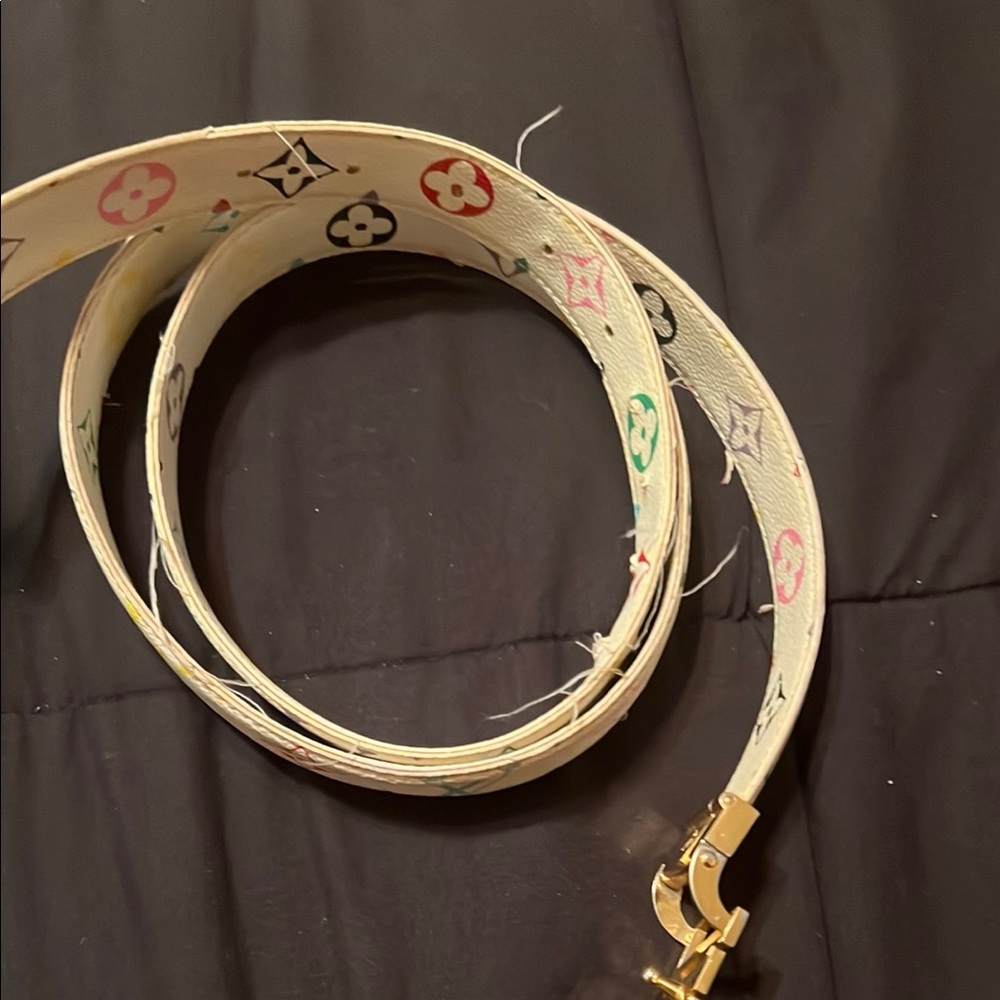 Louis Vuitton Multicolor Monogram Belt